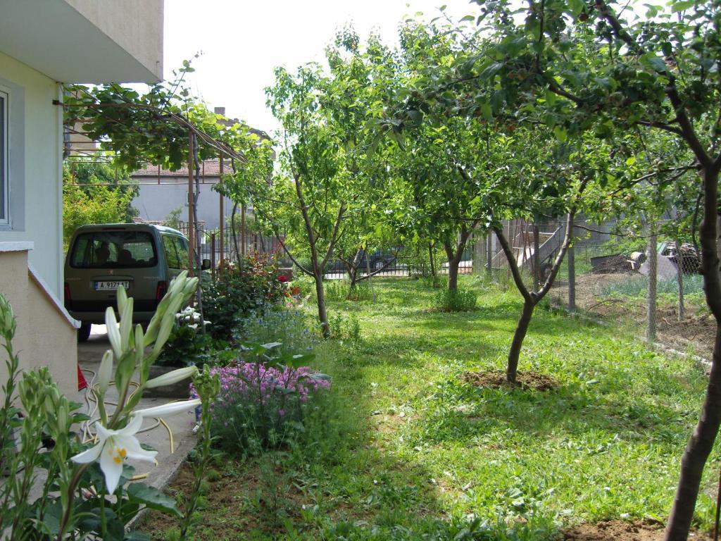 Kirovi House - Guest Rooms تساريفو المظهر الخارجي الصورة